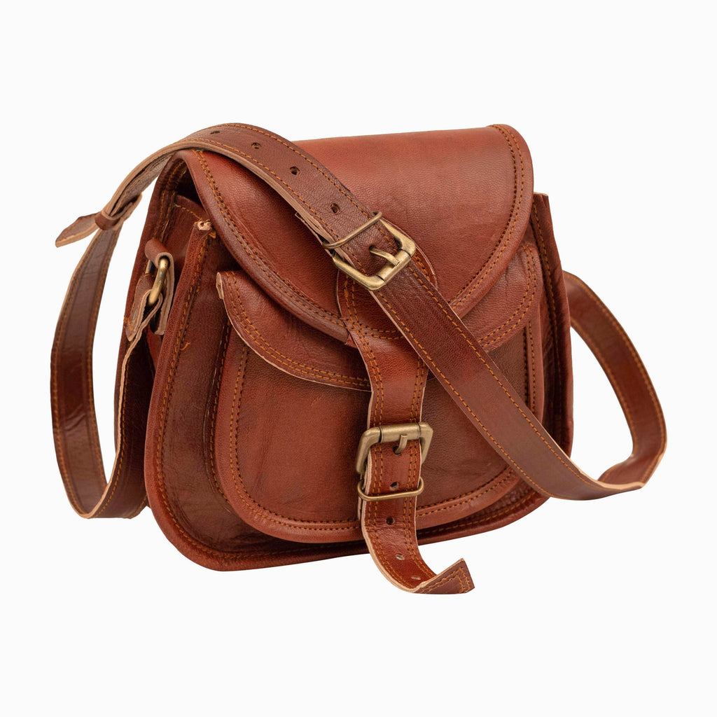 Rajeriya-9 Inch Small Vintage Look Leather Purses And Handbags Crossbody Satchel Bags For Women